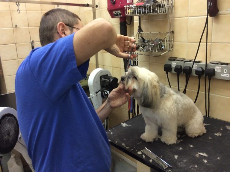 30206426916 995bb367a9 c 768x574