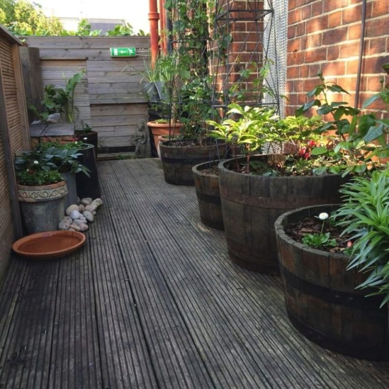 39fe5302 75a2 4206 bed1 8d62a9f4e202 image jpeg 768x768