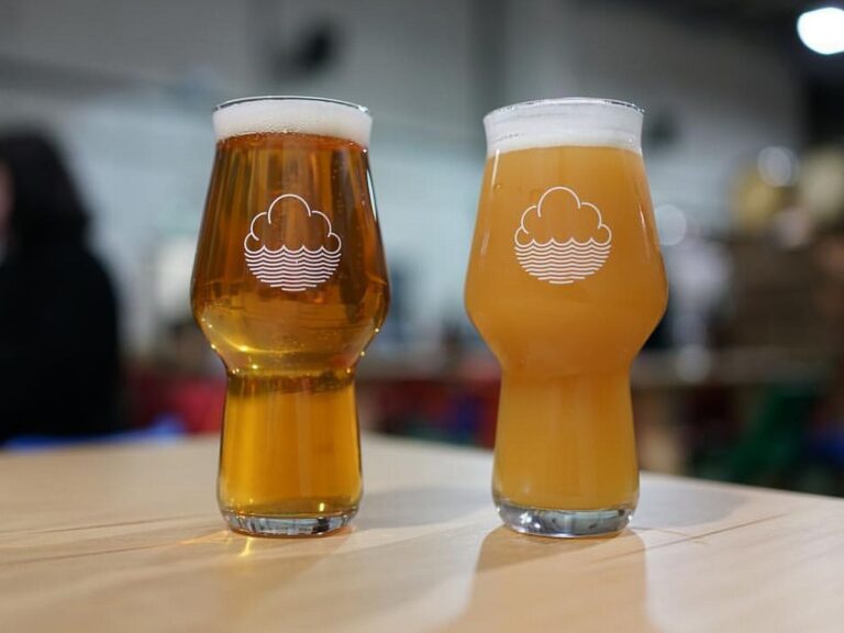 15289053 1044968368966153 7387371537809122008 o 768x576