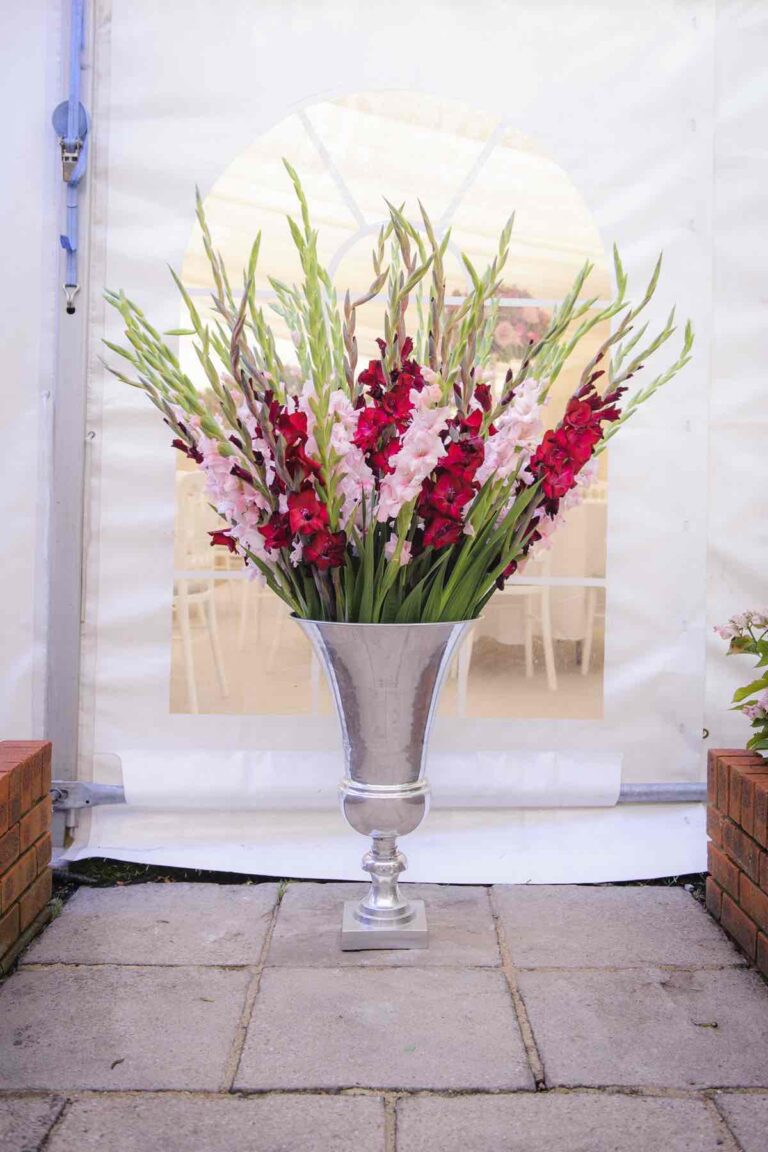 NICOLA JIMI 029 768x1152