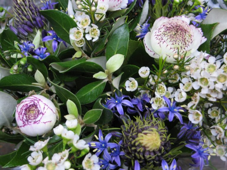 o 2020 06 29T094510.511 768x576