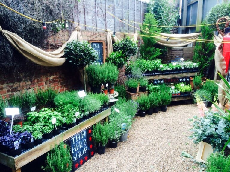 o 2020 06 29T120254.255 768x576