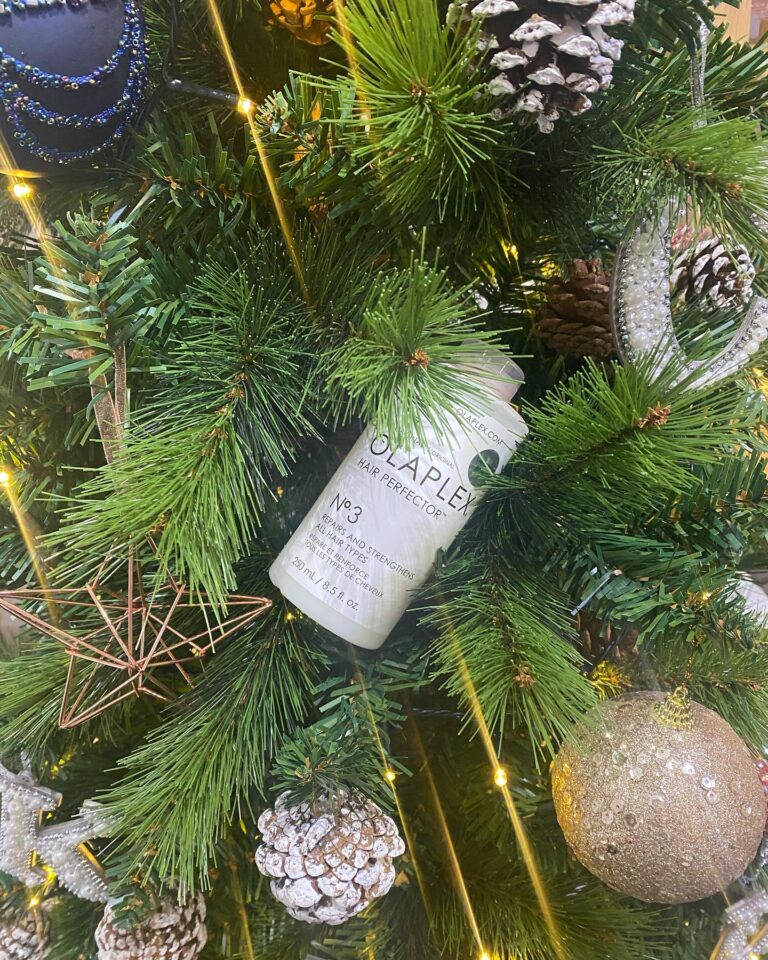 260077340 3351286614995899 1779356881362691838 n 768x960