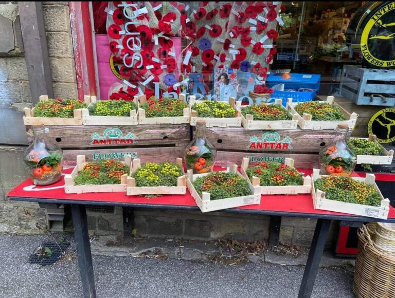 Screenshot 20211123 134029 Facebook 768x580