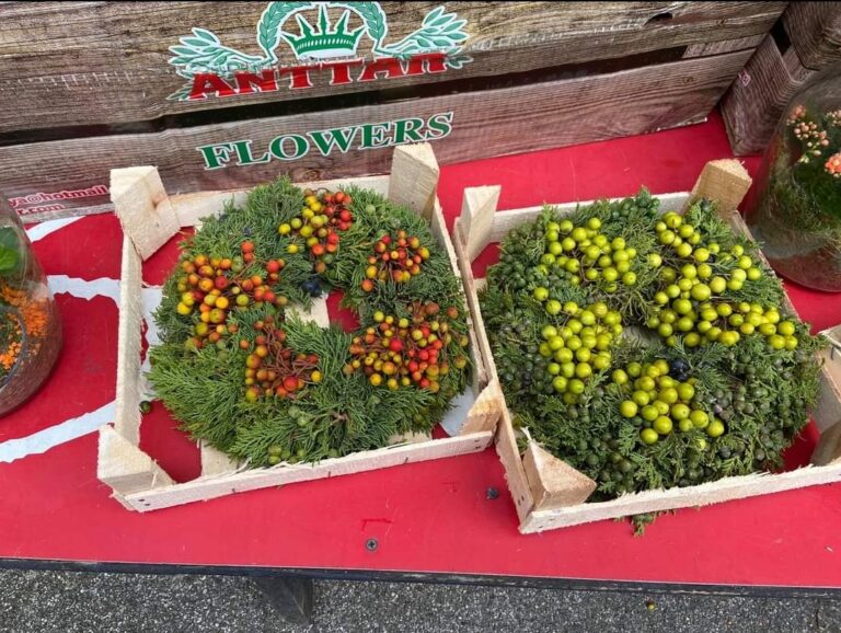 Screenshot 20211123 134038 Facebook 768x578