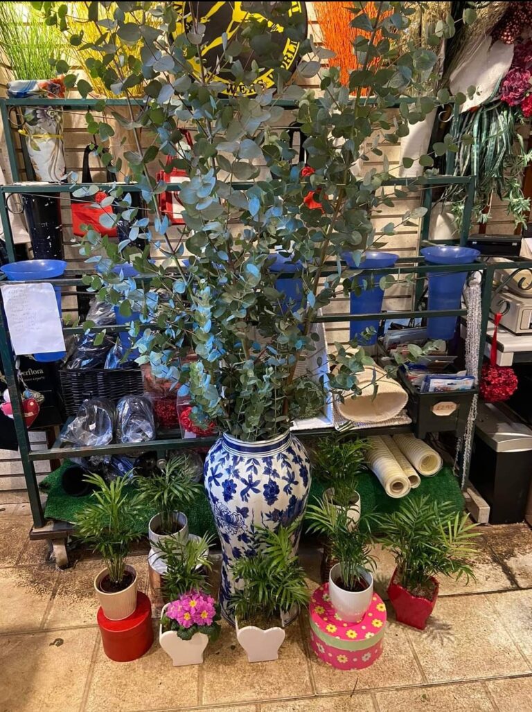 Screenshot 20211123 134529 Facebook 768x1028