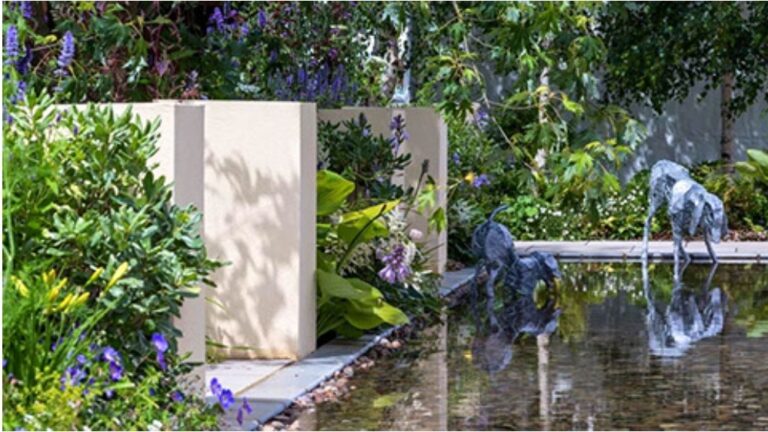 Screenshot 20211124 171927 Chrome 768x432