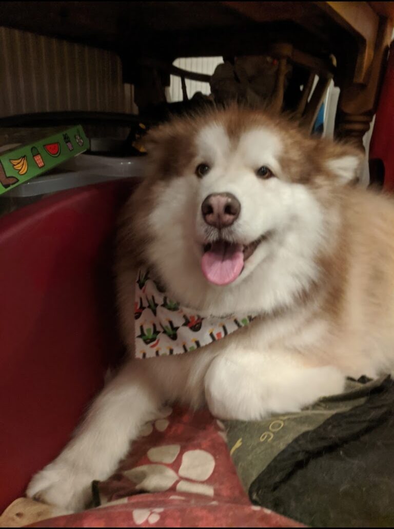 Screenshot 20211129 131839 Google 768x1031