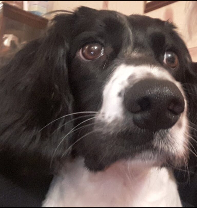 Screenshot 20211129 131850 Google 768x811