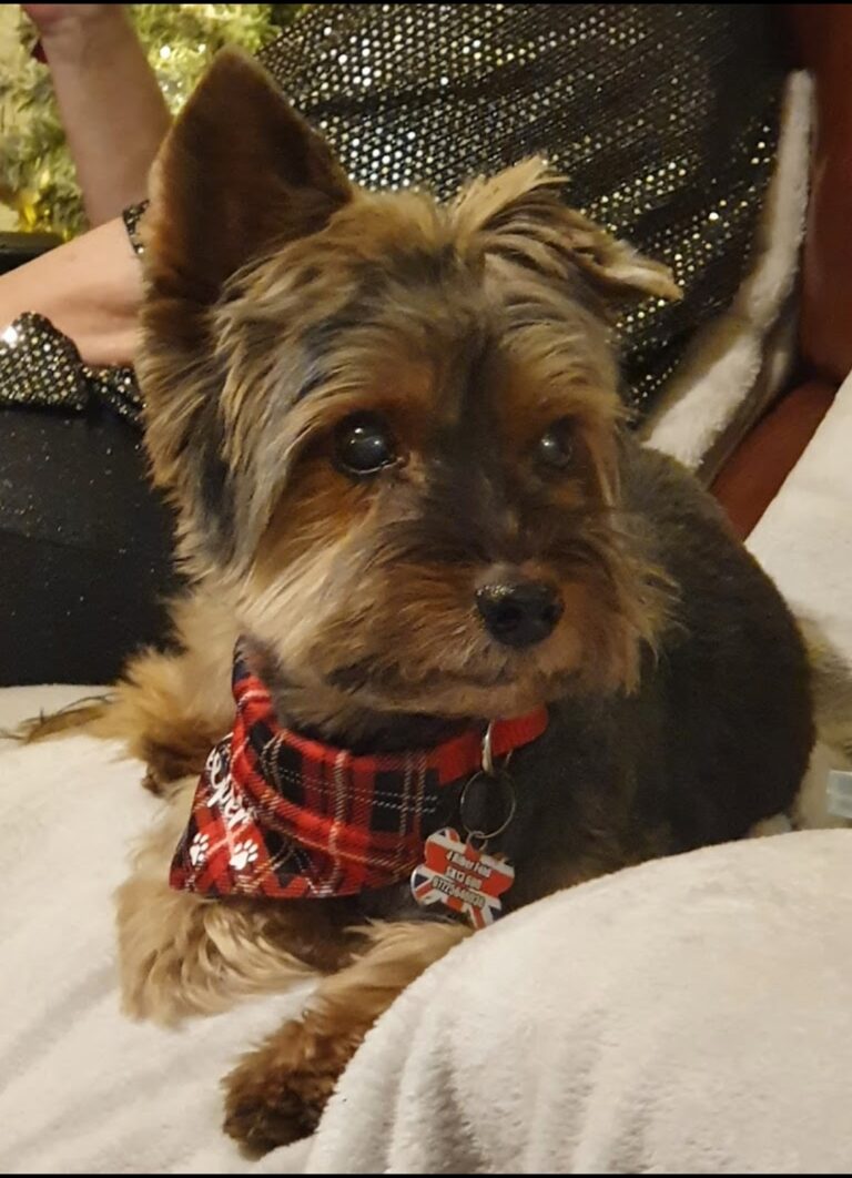 Screenshot 20211129 132010 Google 768x1062