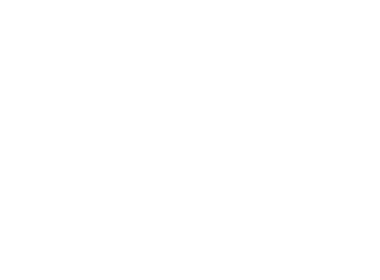 vele vet white 768x566