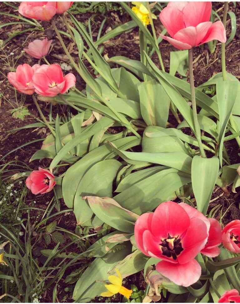 Screenshot 20211208 080505 Instagram 768x969