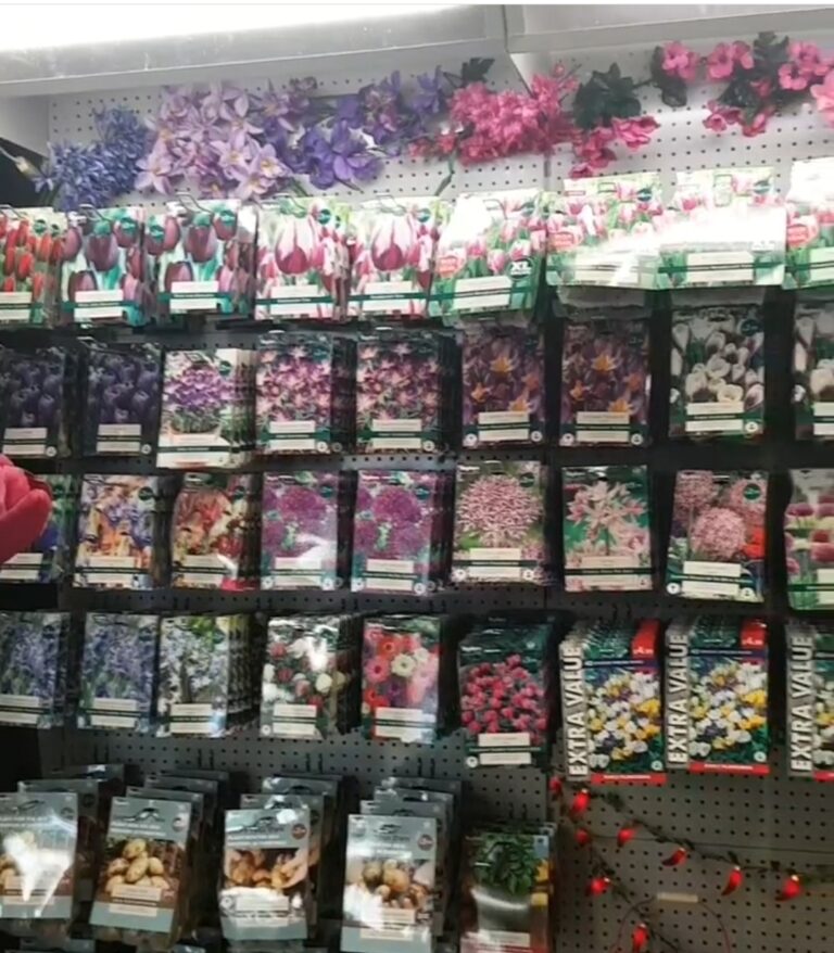 Screenshot 20211208 080722 Instagram 768x878