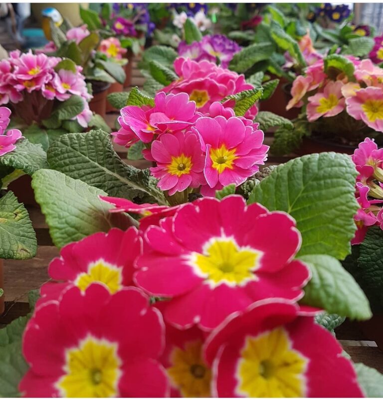 Screenshot 20211208 080753 Instagram 768x801