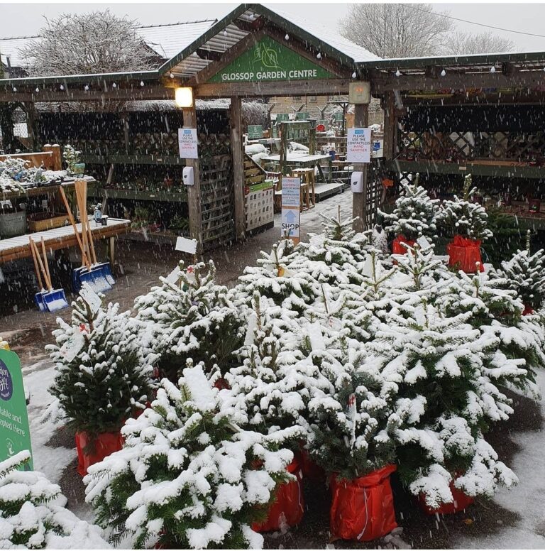 Screenshot 20211208 080848 Instagram 768x776