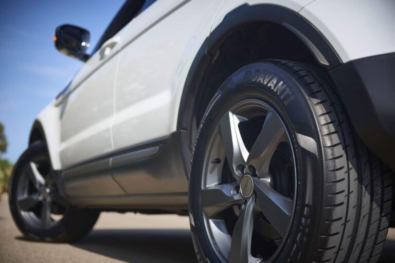 274019949 455177463061163 386369031056437632 n 768x513