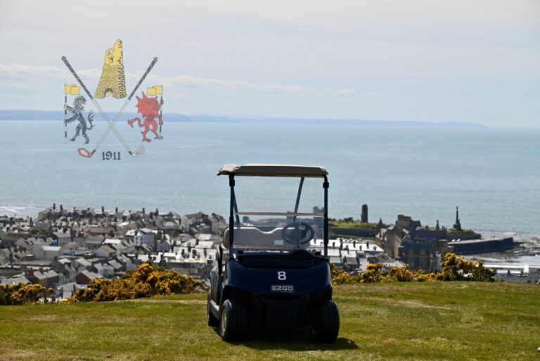 Buggy 8 Final 1280x855 1 768x513