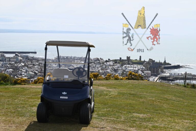 Buggy New 2 1280x855 1 768x513