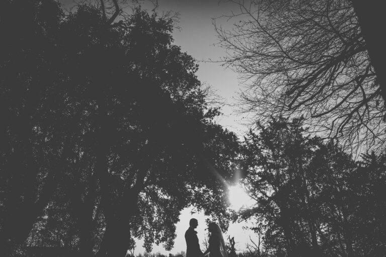 11141763 10153296806342953 3696357471237668146 o 768x512