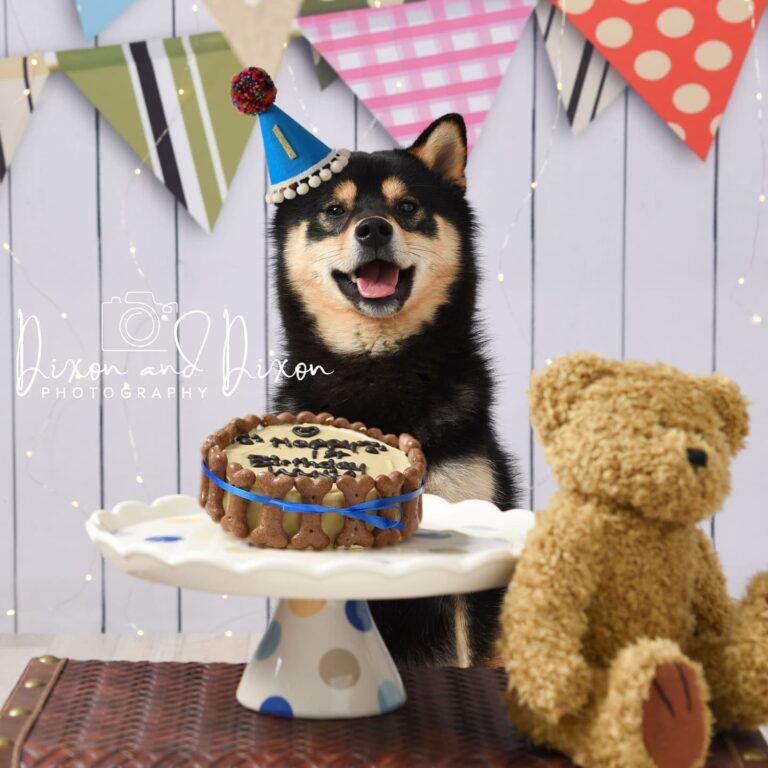 218858093 4272119309490531 873232501727483546 n 768x768