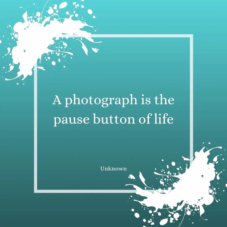 235412736 4339636549405473 1515629769232520853 n 768x768