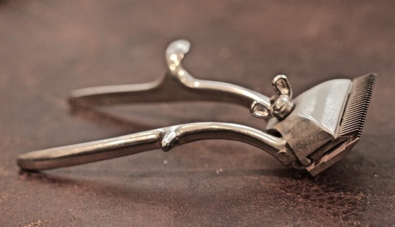 277175924 3126137877645533 414613971589024823 n 768x441