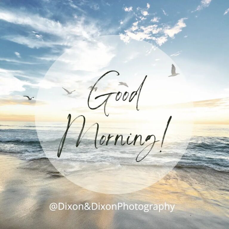 287671687 5289930414376077 8580808134202351318 n 768x768