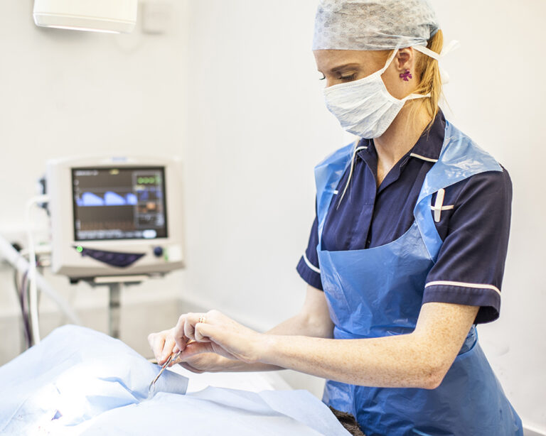 Valley Vets 019 768x614