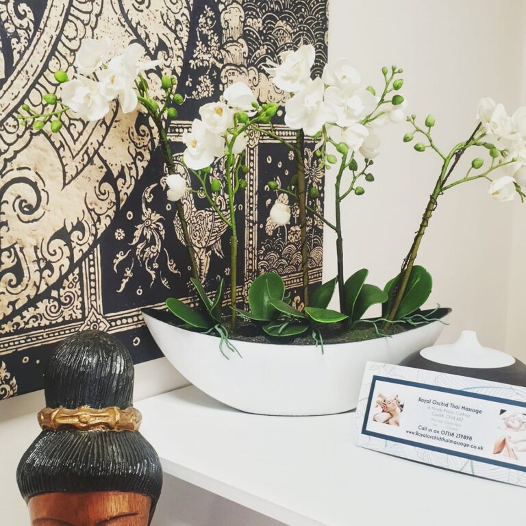 244203907 308029157792201 6913191869130839862 n 768x768