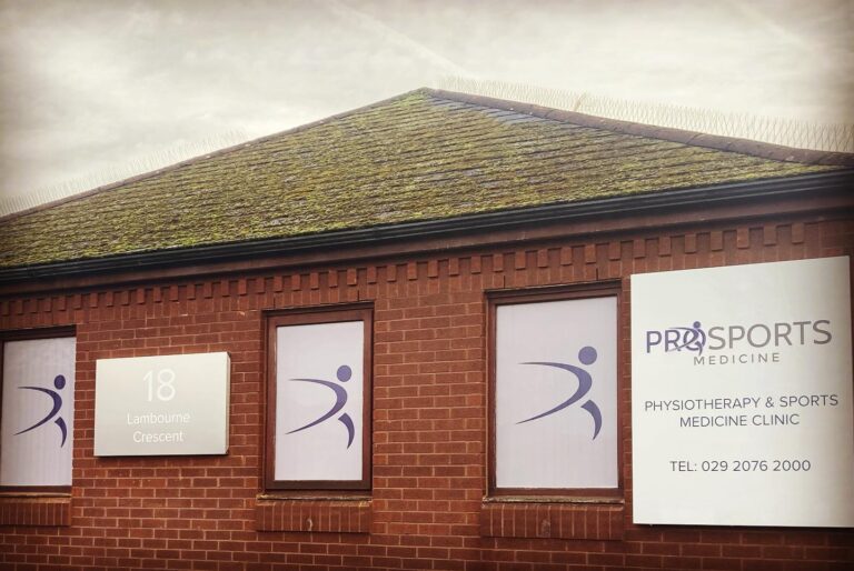 270039010 5288634187832544 3575713894882822233 n 768x514