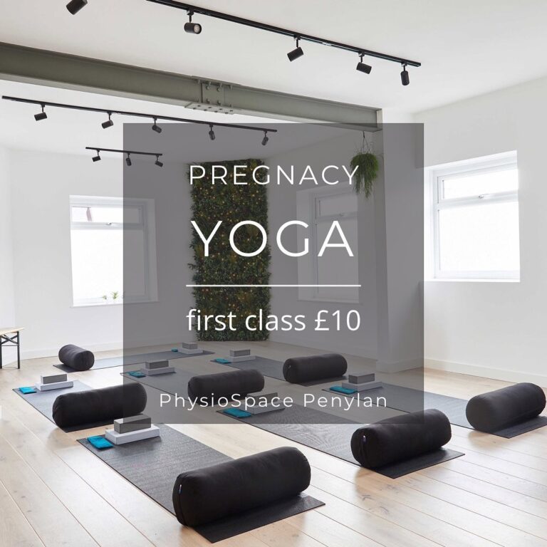 274703960 1988349838037656 6043532877711577730 n 768x768