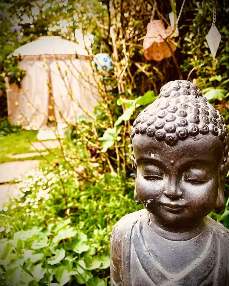 279716631 5355005557884690 1845882761733863906 n 768x960