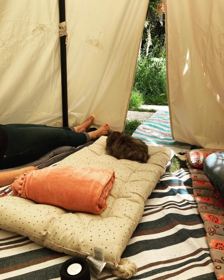 280965373 5408465809205331 7319773355620426037 n 768x960