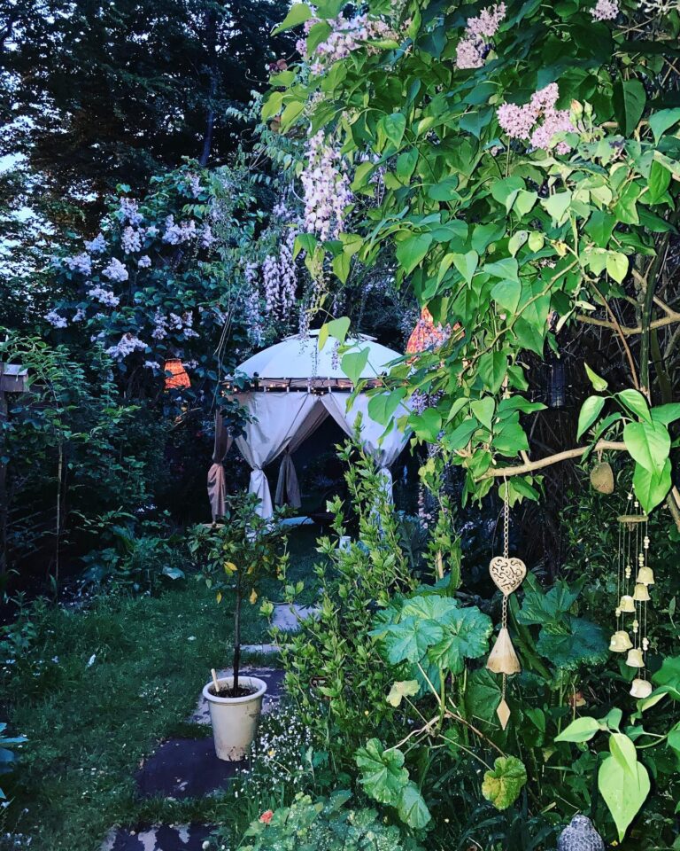 281342251 5418363184882260 7005303858589486510 n 768x960