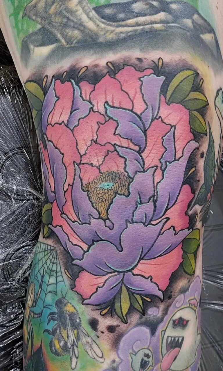 285909723 5239761366139365 6782177495439488020 n 768x1275