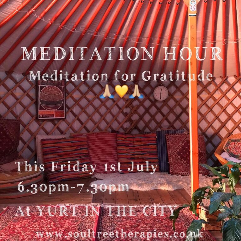 291053135 4040975439461575 2776050724287410046 n 768x768