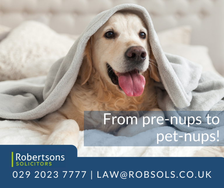 293304344 1641438969576222 9085621672894811619 n 768x644