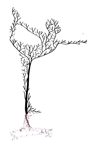 life coaching cardiff