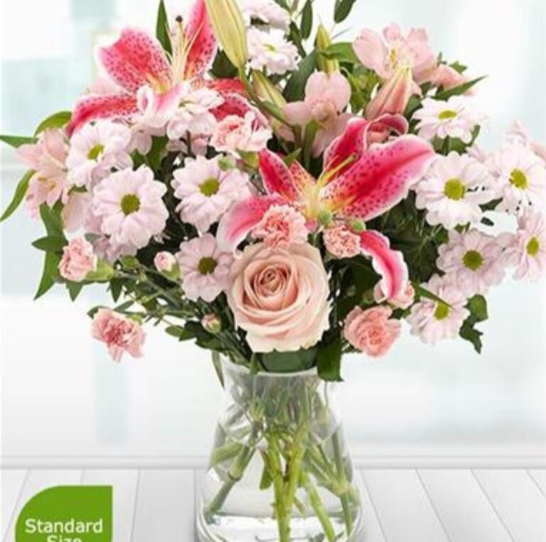 272792697 5640702399279898 7182486140352067113 n 768x762