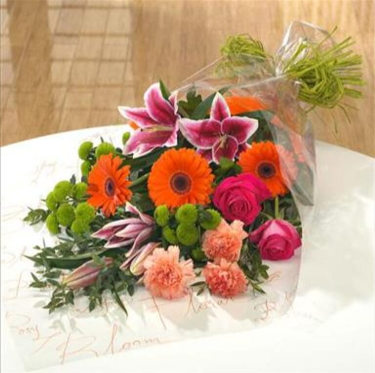 274717603 5737708489579288 275351926211133725 n 768x764