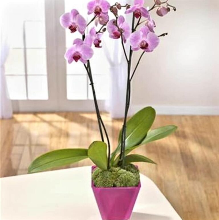 278291405 5874119505938185 6703076048016068184 n 768x773