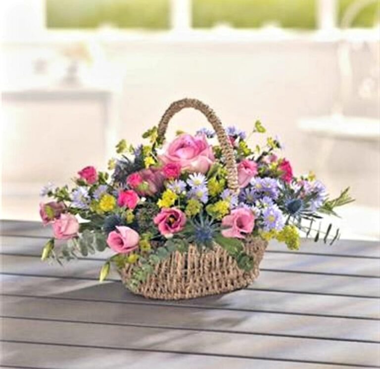 297936710 6206817869335012 9182510267178356467 n 768x747