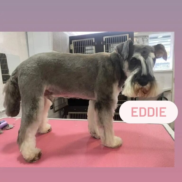 292073469 628430248618759 6474810179808248289 n 768x768