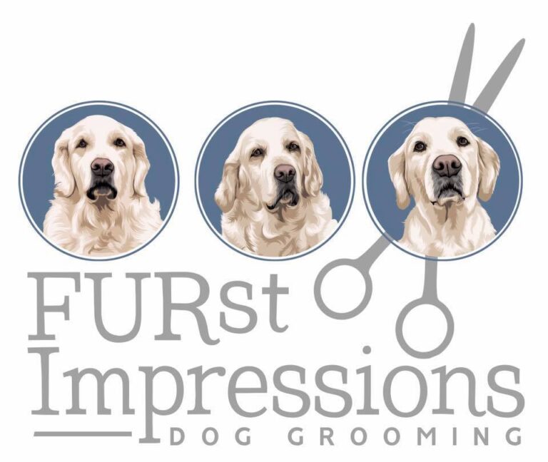 293790540 1053908102022132 8566305954895418014 n 1 768x648