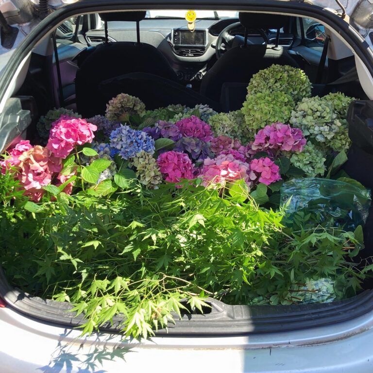 299187187 10160428122808336 3080128412608350731 n 768x768