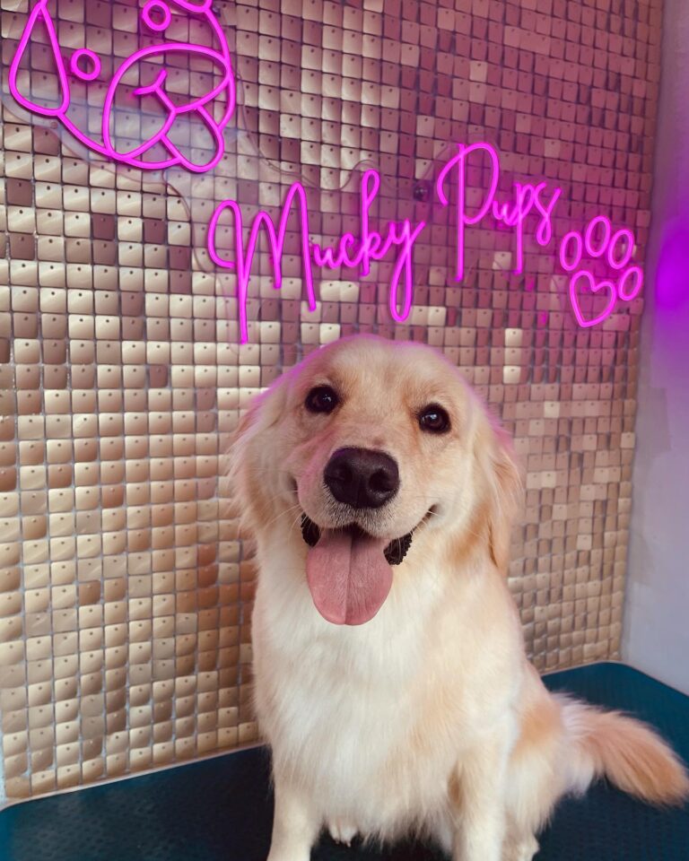 301951284 661035058691611 3107346280077106711 n 768x960