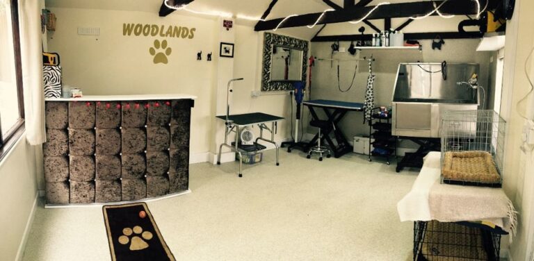 302535433 763567761431487 3122158890747388371 n 768x376