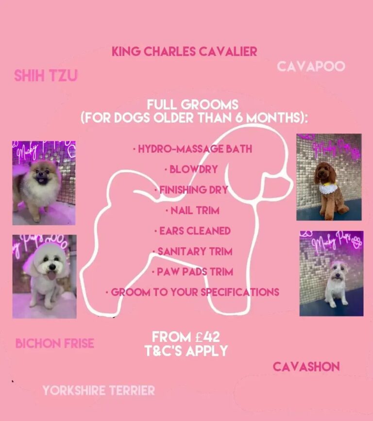 305196890 664179161710534 2704518807953906158 n 768x867