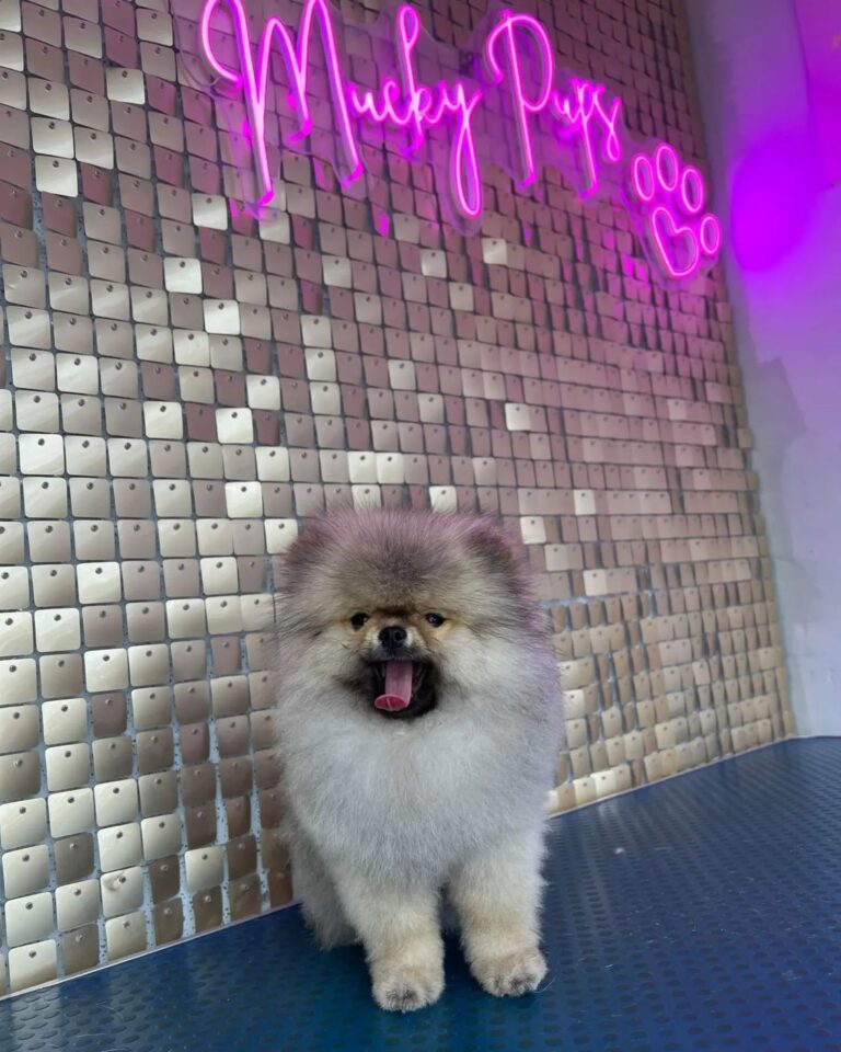 305229352 664993848295732 5793294231464099243 n 768x960