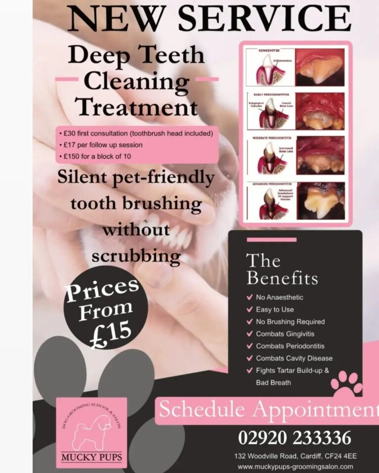 305278995 664497045012079 6703429917713729181 n 768x960